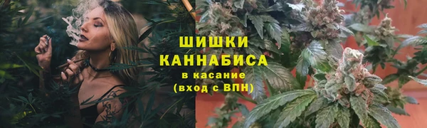 бутират Богородицк