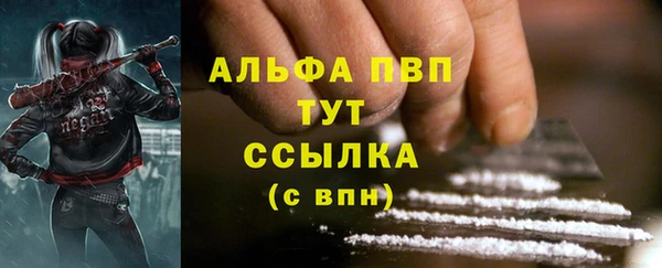 ешки Богданович