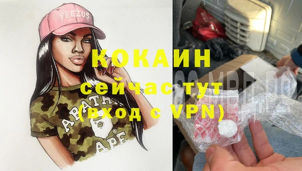 ешки Богданович