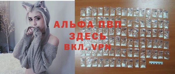 ешки Богданович