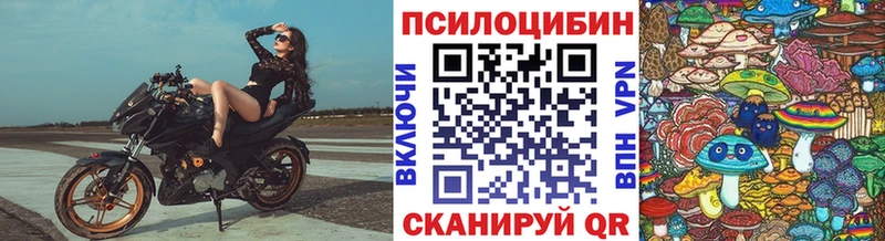 купить   Казань  Галлюциногенные грибы прущие грибы 